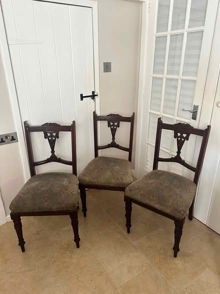 Photo of free Dining Chairs (Lympstone EX8) #1