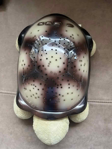 Photo of free Cloud B night light turtle (Fairfield Park) #1