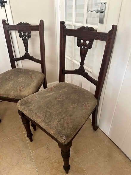 Photo of free Dining Chairs (Lympstone EX8) #3