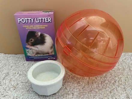 Photo of free Hamster stuff (West Plano) #1