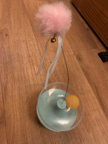 Photo of free Kitten toy (Clapham MK41) #1