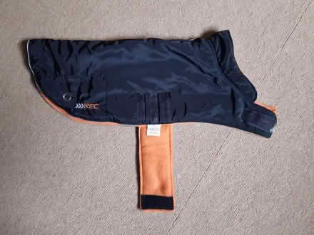 Photo of free Dog coat (World's End RH15) #1