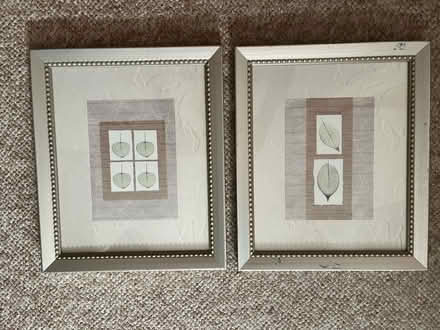 Photo of free Framed prints (Somerville, Spring Hill) #1