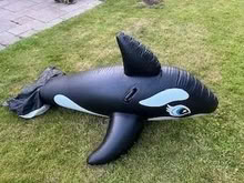 Photo of free Inflatable toy -not perfect (Westerhope) #1