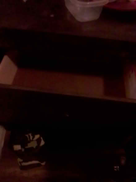 Photo of free furniture (Zilker/ Bluebonnet) #4