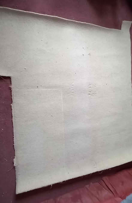 Photo of free Small piece of carpet (Starcross EX6) #1