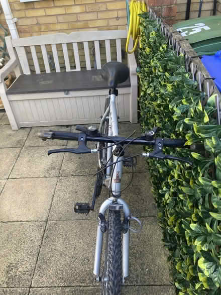 Photo of free Old bicycle (Hillcliffe WA4) #2