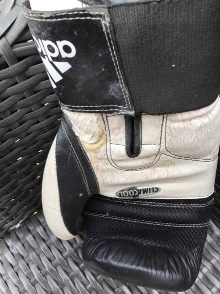 Photo of free Teen’s Boxing Gloves (Greenstead CO4) #2