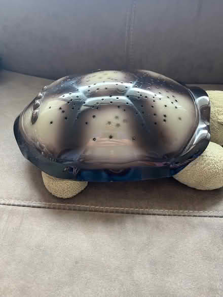 Photo of free Cloud B night light turtle (Fairfield Park) #4