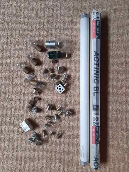 Photo of free Bag of bulbs and bits (World's End RH15) #1