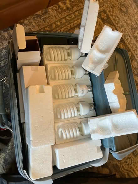 Photo of free 17 Photography Grade Light Bulbs (Annandale) #2