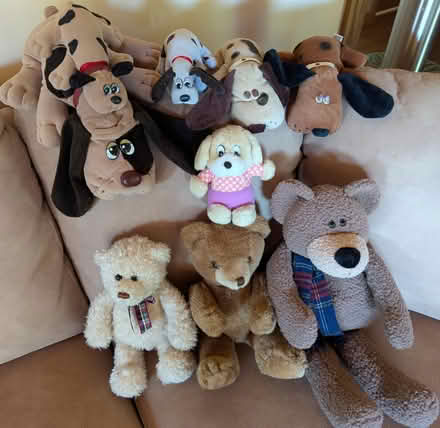 Photo of free Stuffies (Amherst) #1