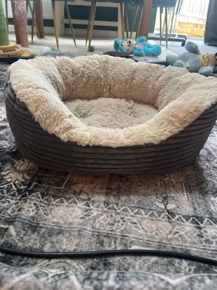 Photo of free Little cat bed or a very small dog (RG2 Shinfield) #2