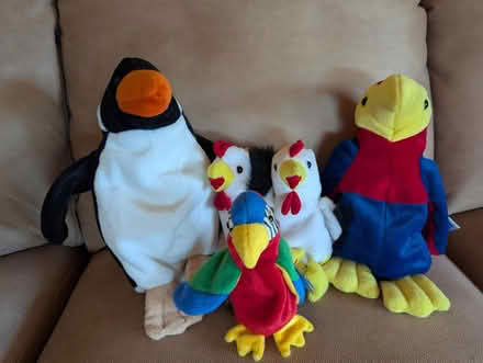Photo of free Stuffies (Amherst) #2