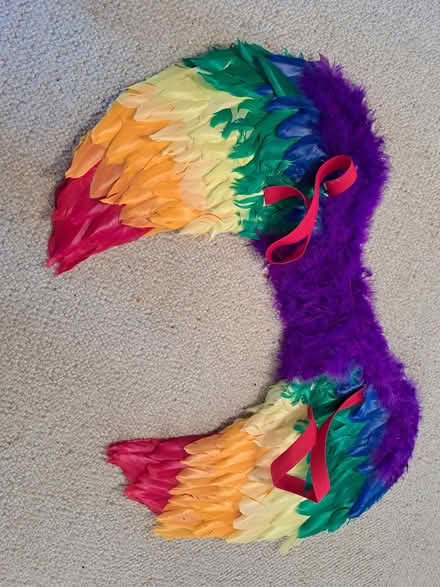 Photo of free Pride/Rainbow wings (Caversham RG4) #1