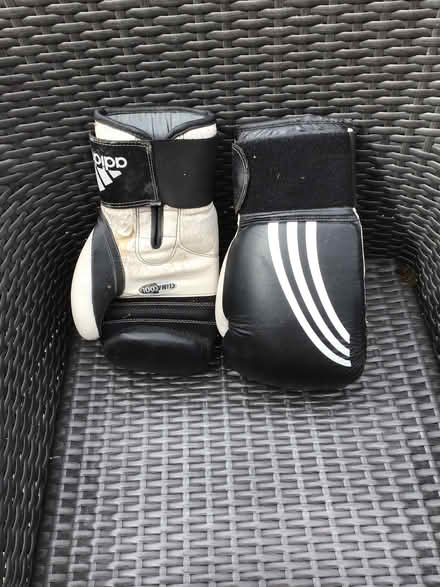 Photo of free Teen’s Boxing Gloves (Greenstead CO4) #1