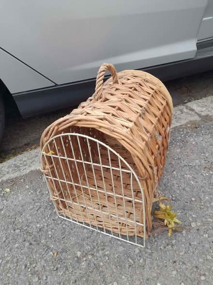 Photo of free Pet basket (Wimbledon Village SW19) #1