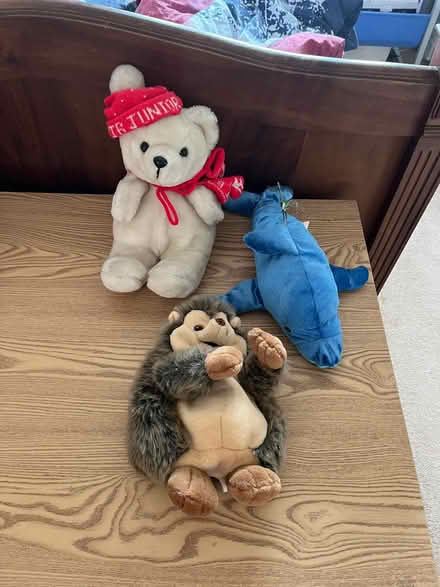Photo of free 3 cuddlies (Larkfield) #1