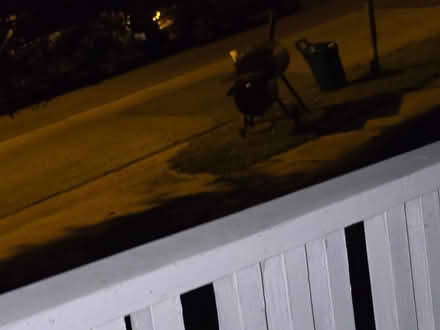 Photo of free Large Barbeque (Mount Rainier) #1