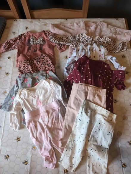 Photo of free Baby Girls Clothes 0-3 Months (Wood Farm OX3) #1