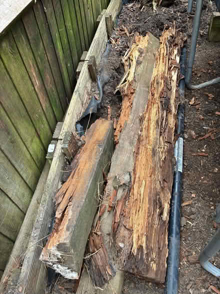 Photo of free Railway sleepers partially rotten (New Ash Green DA3) #4