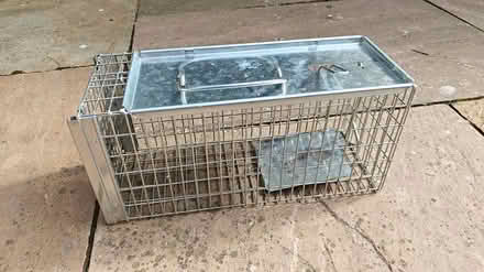 Photo of free Humane rat trap (Balgreen EH11) #1