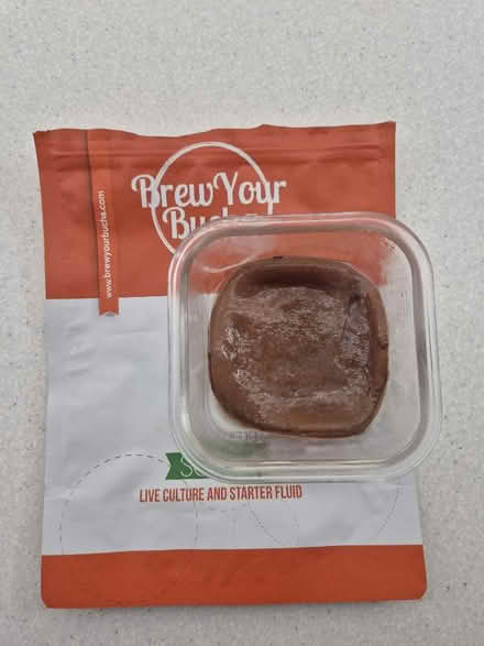 Photo of free Kombucha scoby (Tytherington SK10) #1