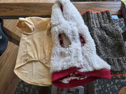Photo of free Small winter dog sweaters (Takoma DC) #1