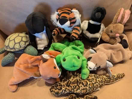 Photo of free Stuffies (Amherst) #3