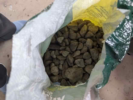 Photo of free Bag of medium stones. (Rothwell LS26) #1