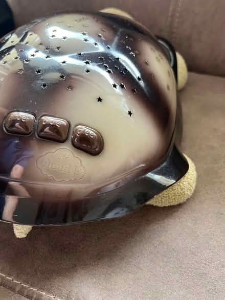 Photo of free Cloud B night light turtle (Fairfield Park) #2