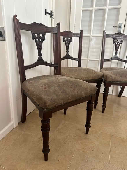 Photo of free Dining Chairs (Lympstone EX8) #2