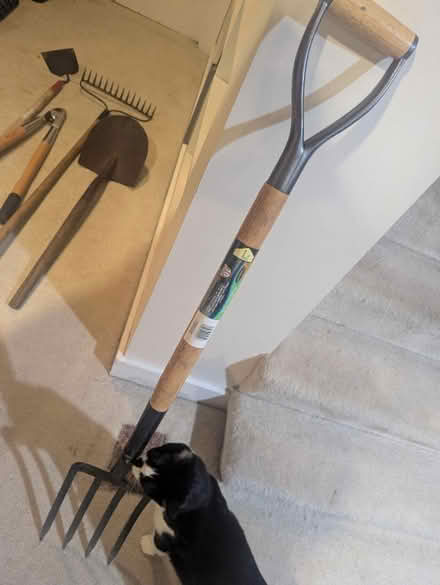 Photo of free Small garden fork (Greenlake) #1