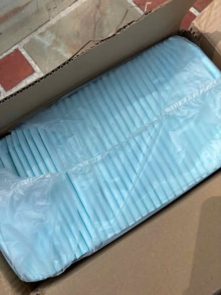 Photo of free Dog Training Pads (Alexandria VA by MasonicTemple) #1