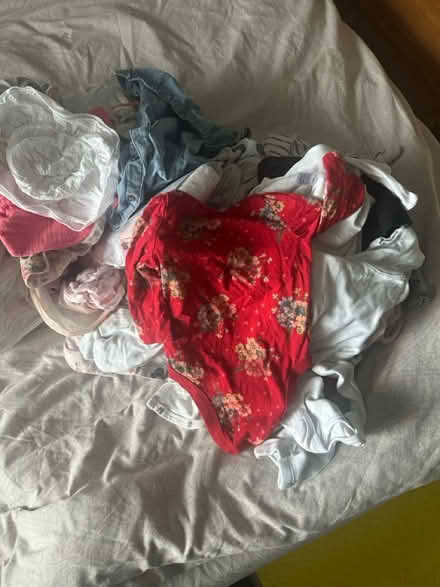 Photo of free Two big bags of baby girl clothes (Hampton TW12) #2