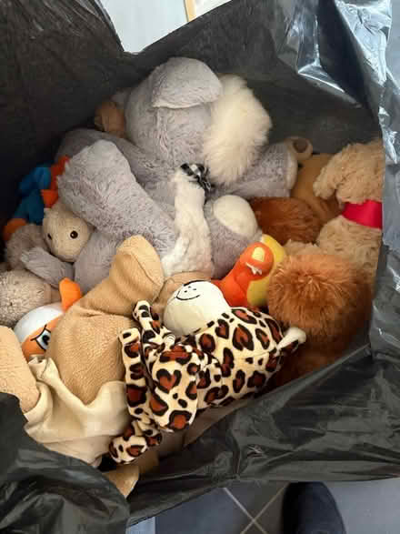 Photo of free Huge bin liner of lovely teddies (Gipton LS8) #1