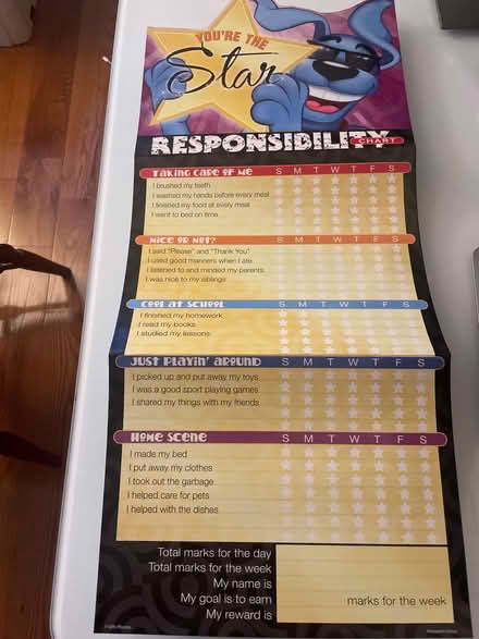 Photo of free Kids responsibility chart x2 (Near Lyndhurst High School) #1