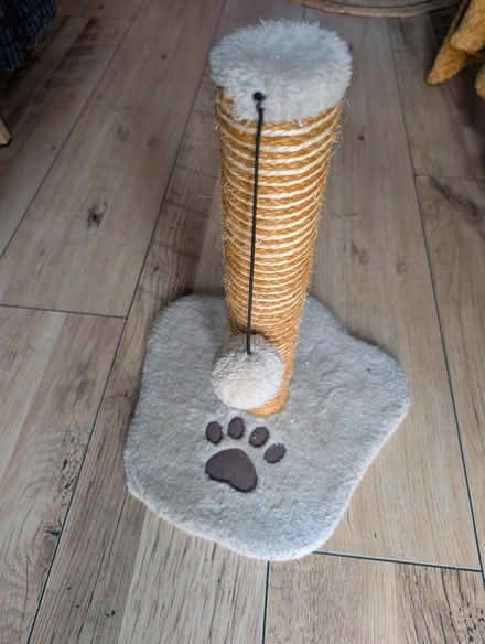 Photo of free Cat stratch post (B11) #1