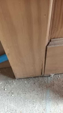 Photo of free Glazed pine doors (Malvern WR14) #3