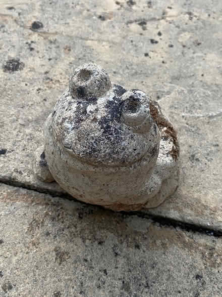 Photo of free Garden ornaments (Bussage GL6) #2