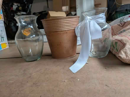 Photo of free 3 vases (shady grove and 355) #1