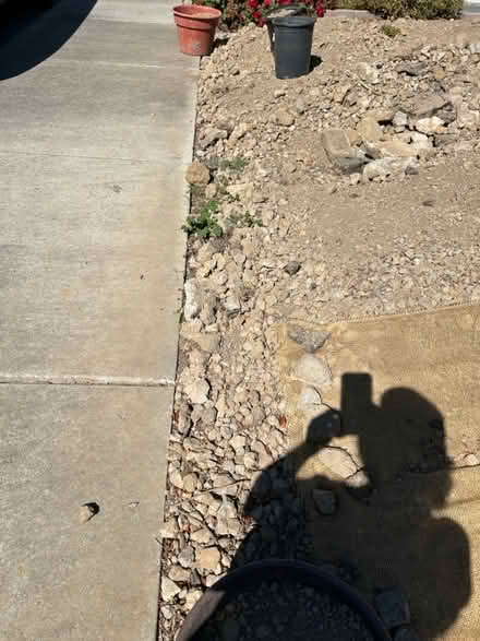 Photo of free Small rocks and stones (Union city) #2