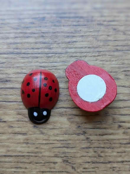 Photo of free Ladybirds (Hook RG27) #1