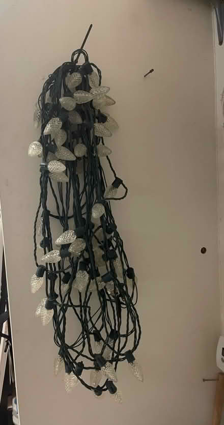 Photo of free String of White Lights (Ahwatukee) #1