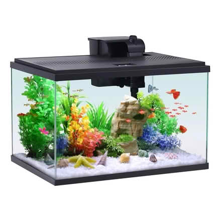 Photo of Fish tank (New Britain) #1