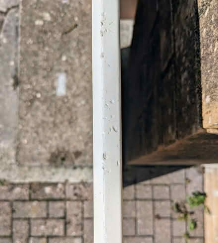 Photo of free Table Top (Missing Legs). (PL4) #3