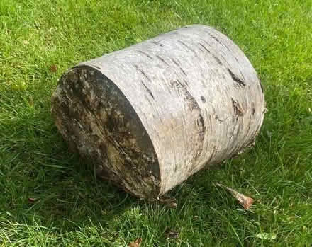 Photo of free Logs for log burning stoves (Lower Wortley LS12) #1