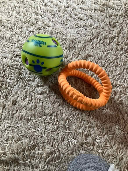 Photo of free Two dogs toys (Coulsdon, nr, train station) #1