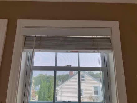 Photo of free Blinds (Waltham ma) #2