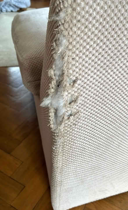 Photo of free Sofa (TN39) #3